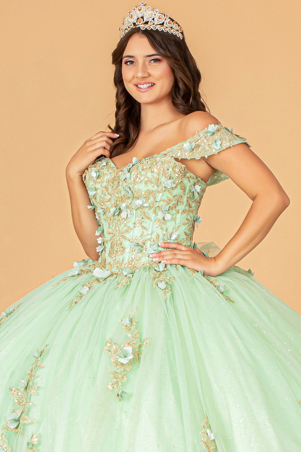 3D Flower Applique Sweetheart Neckline Mesh Quinceanera Ball Dress GLGL3102